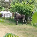 Kemp Joasia I Maciek Bungalowy Jarosławiec