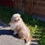 Joasia I Maciek Bungalowy * Jarosławiec