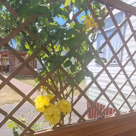 Joasia I Maciek Bungalowy 캠프장